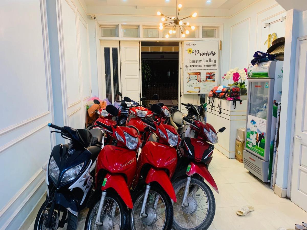 Primrose Homestay Каобанг Экстерьер фото