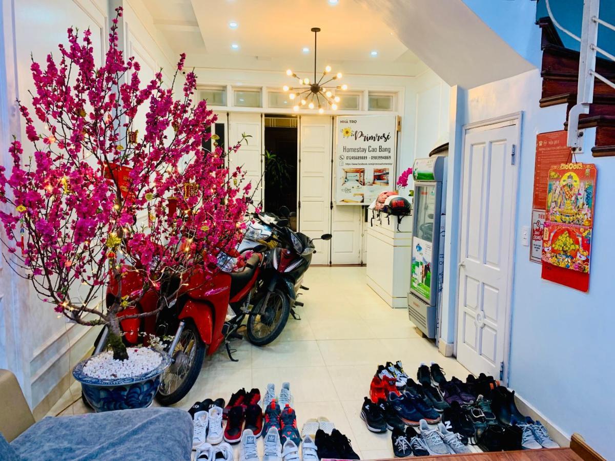 Primrose Homestay Каобанг Экстерьер фото